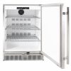 Blaze Outdoor Rated Stainless 24” Refrigerator 5.2 CU